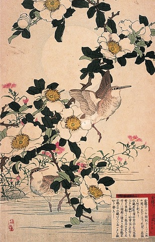 JAPANESE WOOD BLOCK PRINTS