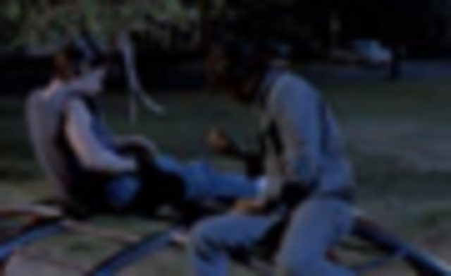 Pony and Johnny talked in the park