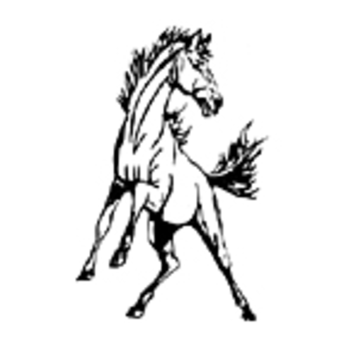 (1st) Highschool Baseball