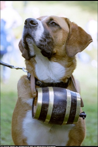 Historia de la Máquina