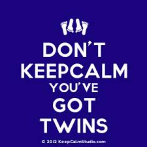 Shakespeare has twins