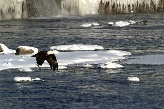They reach the Kansas river