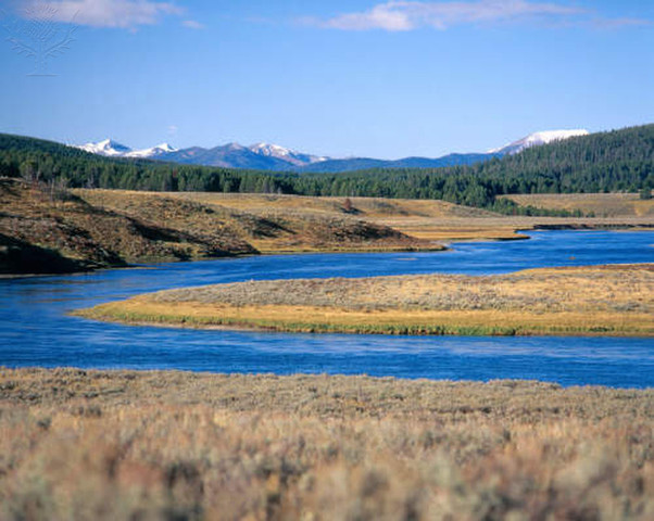 They reach the Yellowstone river