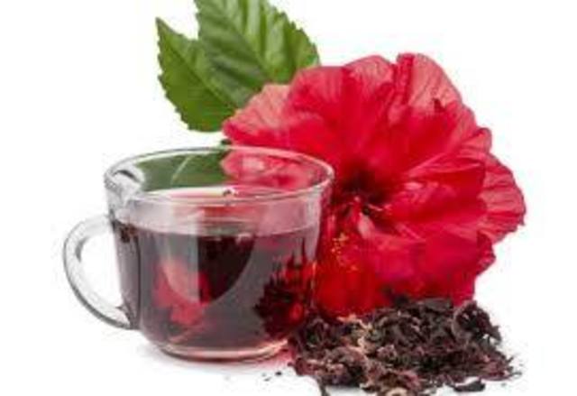 Katia Araujo Hilario 2205214