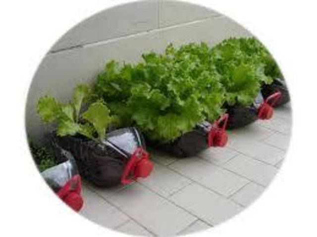 Aluno: Katia Araujo Hilario 2205214