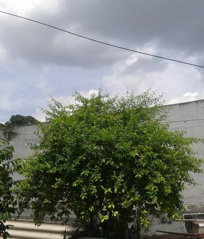 Geisa A. Damasceno Souza Matrícula:2107830