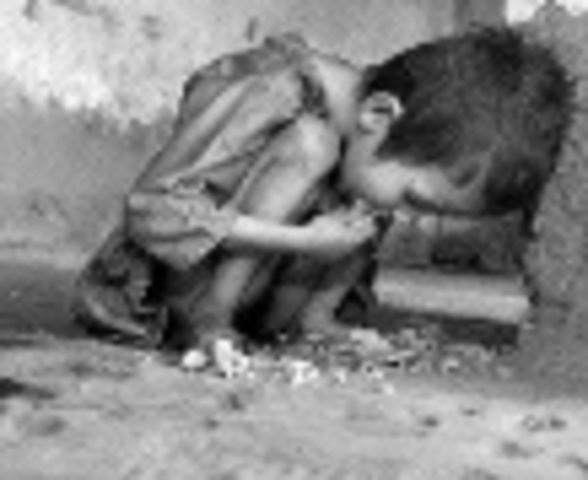 Renata de Cássia Maia