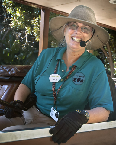 Started working at the Zoo