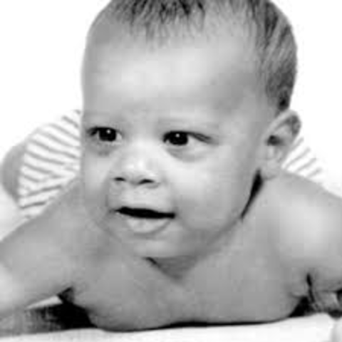 La naissance d'Obama