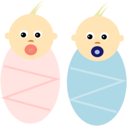 Twins Born
