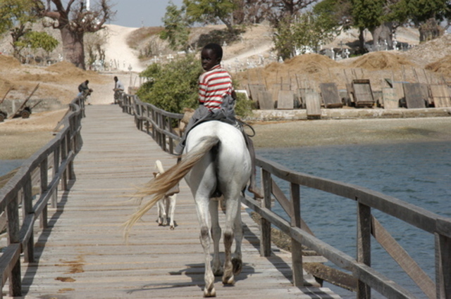 date et lieu de naissance de Léopold Sédar Senghor