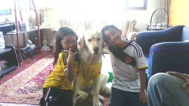 partido de Colombia contra Brasil