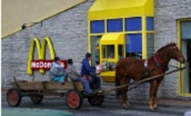 Ana Carolina Ramos Queiroz de Andrade