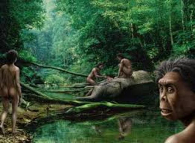 TRANSFORMACION AUDITIVA EN LOS MAMIFEROS