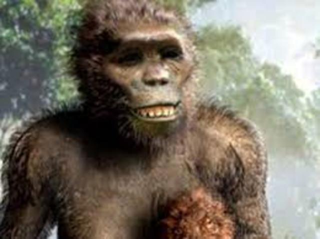 APARICIÓN DE TUVO Y CRESTA NEURONAL