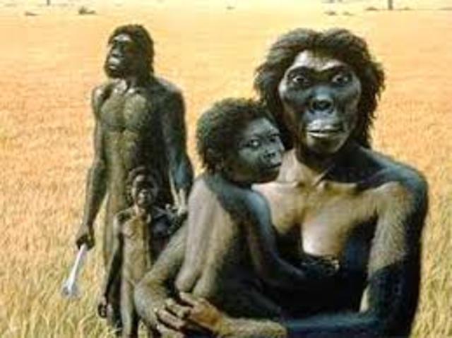 SURGIMIENTO Y EVOLUCIÓN