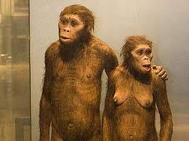 TRANSFORMACIÓN AUDITIVA EN LOS MAMIFEROS