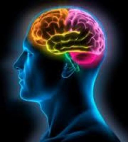 En el sigloXVI escribe el primer tratado importante