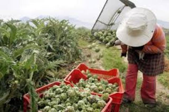 Inglaterra antes de 1500 era inminentemente agrícola,