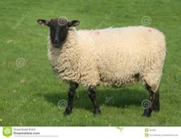 erios cambios en el agro inglés.