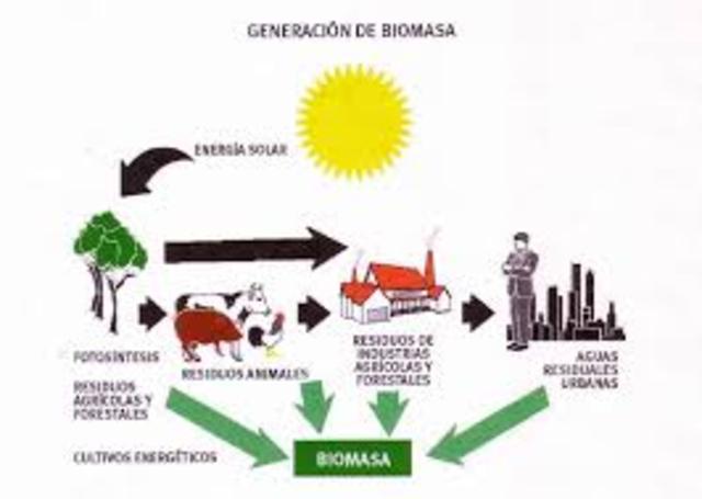 Biomasa