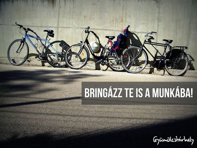 Hagyományosan tekertünk az őszi BAM kampányban is