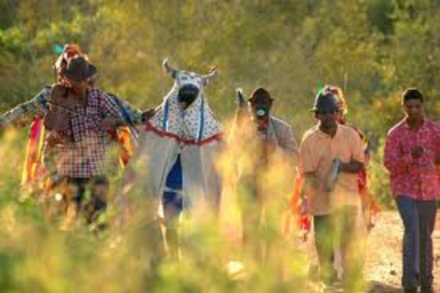 Robson Luiz Neve Machado