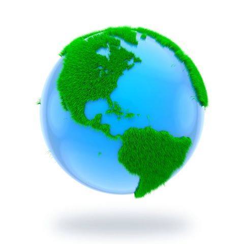 Marceli de Souza Lima