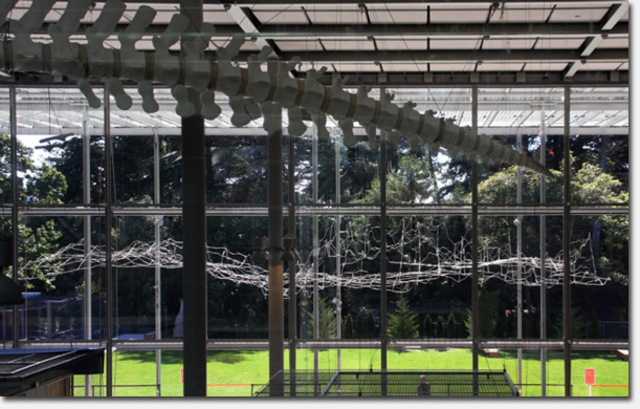 Where the land meets the sea