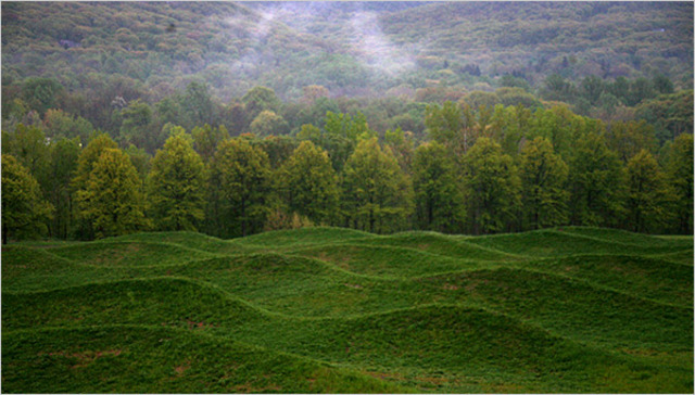 Storm king wave field