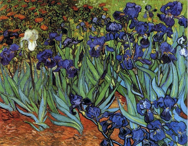 Irises- Van Gogh