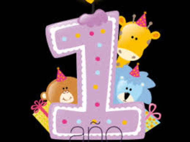 Primer año