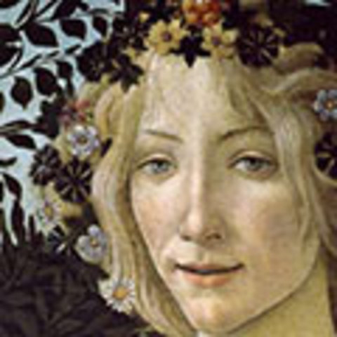 Nace Simonetta Vespucci