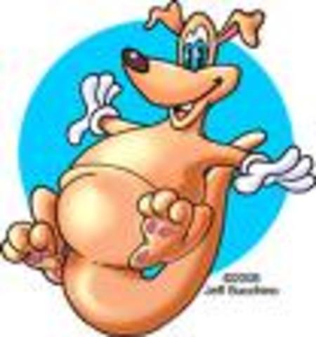 Australia's not a Prisoner Destination