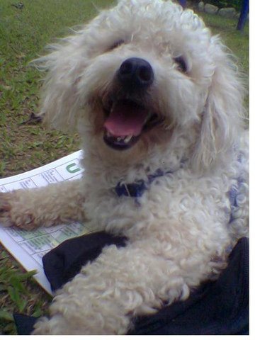 Jonás querido de mi corazón