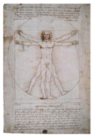 El Hombre Del Vitrubio
