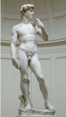 David de Miguel Ángel