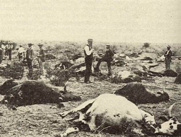 epidemia de virruela