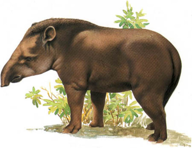 Verde-Amarelismo ou Escola da Anta