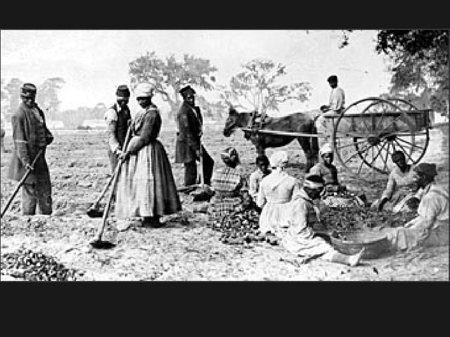 PECULIAR INSTITUTION