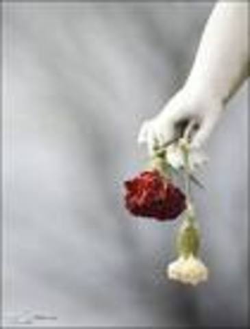 Muhammad (S) Mom Dies