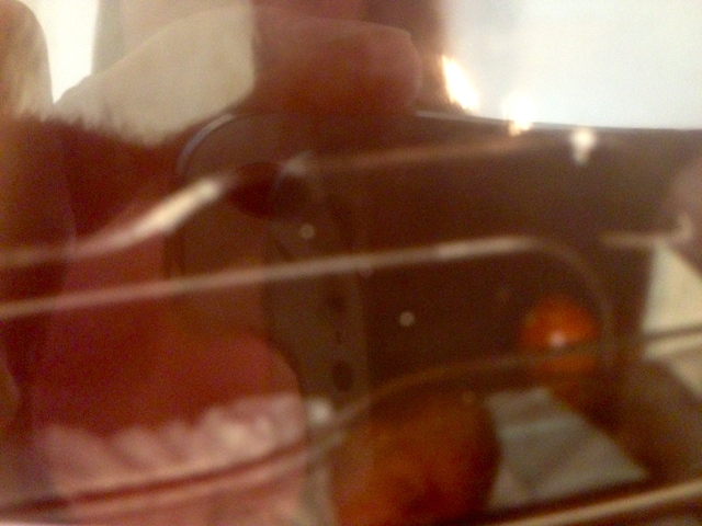 Beginning - Conception, Prenatal Care and Birth