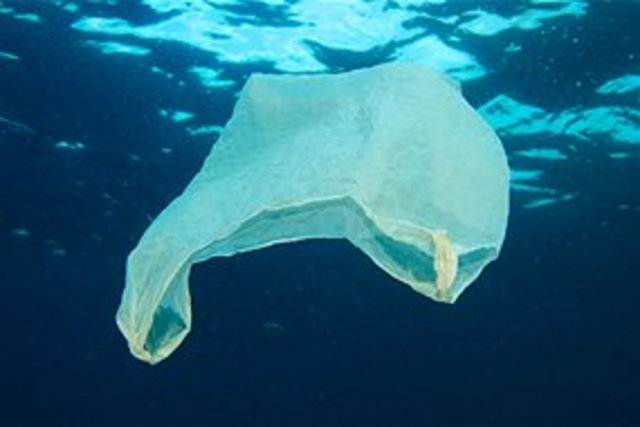 The reason why around the Australian ocean is polluted