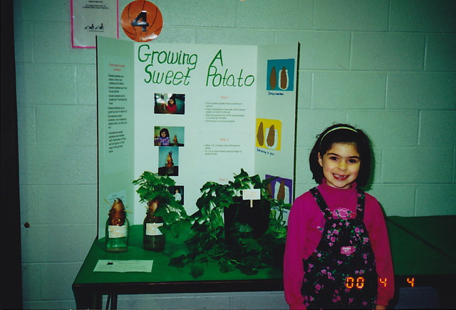 Middle Childhood Cognitive Development (6-11): Developing Concrete Operational Thought