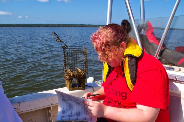 Franklin County Oyster Substrate Study