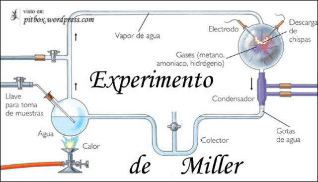 Teoria del origien da las biomoleculas