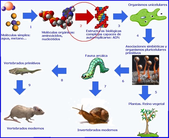 Origen de las Biomoléculas
