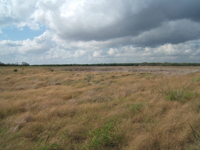 Last battle of Palmito Ranch