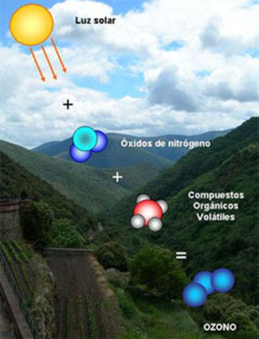 Origen de los precursores orgánicos.