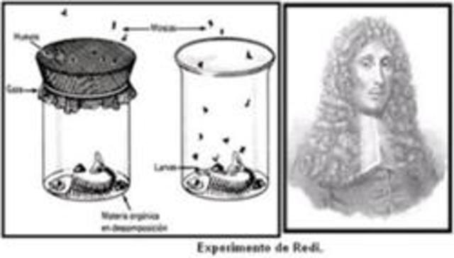 Experimento de Francesco Redi.